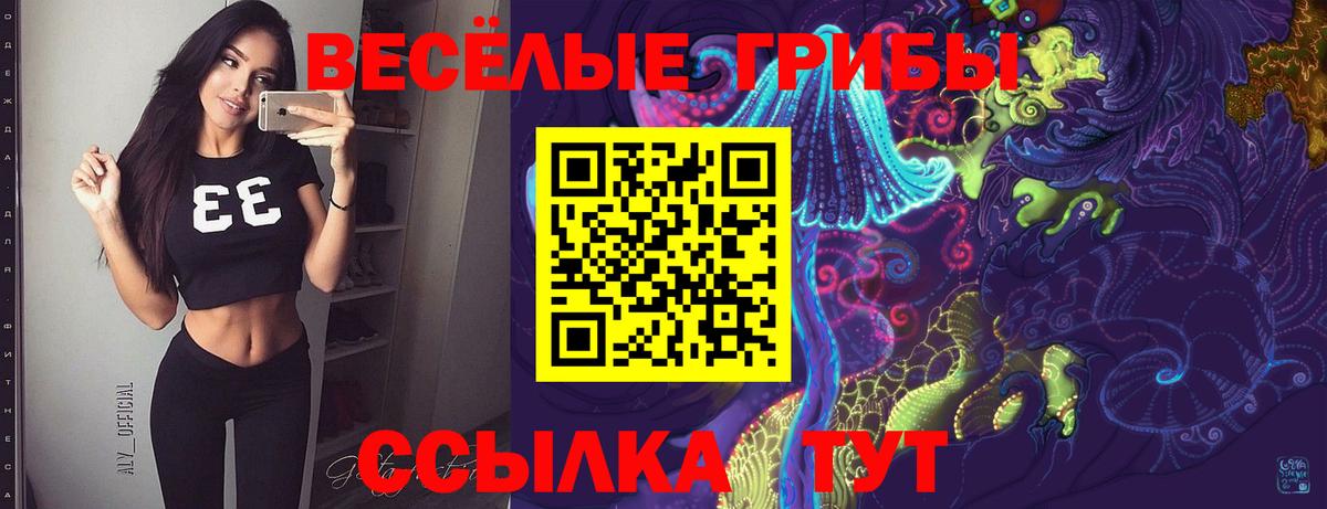 Псилоцибиновые грибы Cubensis Сокол