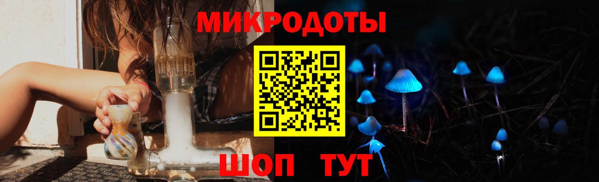 Галлюциногенные грибы Psilocybine cubensis  Галлюциногенные грибы мицелий  Вход с VPN  Сокол 